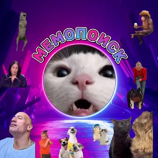 Telegram profile photo for МЕМОПОИСК | ШАБЛОНЫ МЕМОВ и ВИДЕО из REELS | НА ЗЕЛЕНОМ ФОНЕ | KisKiStyle