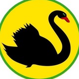Telegram profile photo for WAussie Front