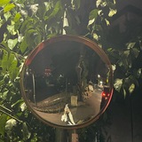Telegram profile photo for free unsubs, Sháika.