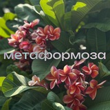 Telegram profile photo for метаформоза