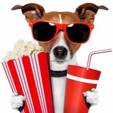 Telegram profile photo for Пиар на закуп