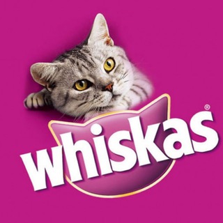 Telegram profile photo for Whiskas