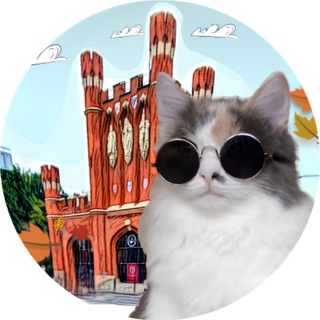 Telegram profile photo for Полюбить Калининград | Мемы