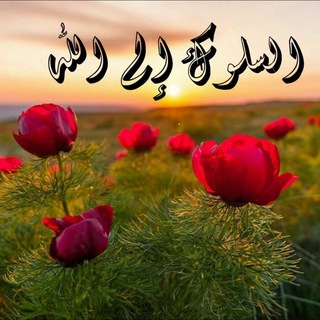 Telegram profile photo for السلوك إلى الله