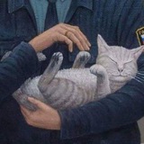 Telegram profile photo for Капитан мышиный кайф