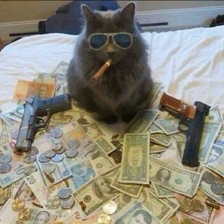 Telegram profile photo for Катькерс!