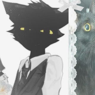 Telegram profile photo for прайс