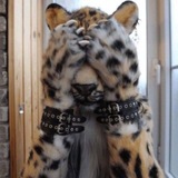 Telegram profile photo for furrymogger