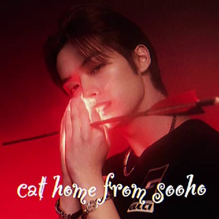 Telegram profile photo for ВРЕМЕННО ЗАКРЫТО cat home from sooho