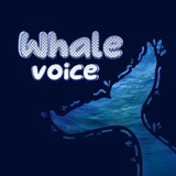 Telegram profile photo for Whale Voice🐋