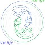 Telegram profile photo for NM life