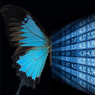 Telegram profile photo for Симметрия заблуждений