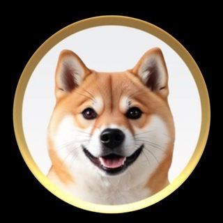 Telegram group profile photo for AKITA consensus group🚀🚀🚀