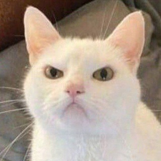 Telegram profile photo for Белый Мишка