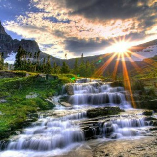 Telegram profile photo for Discovery | Природа | Животные