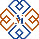 Telegram profile photo for VISTA MUN