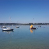 Telegram profile photo for Politische Presseschau dieBasis Starnberg-Ammersee LV Bayern und Bund 2020, 2021