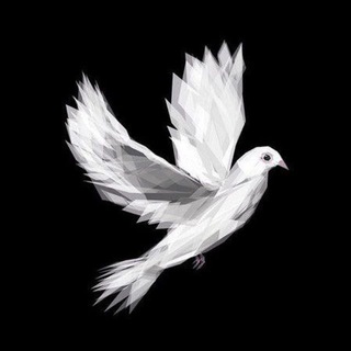 Telegram profile photo for 𝐤𝐫𝐭𝐯𝐟𝐥𝐢𝐦𝐳