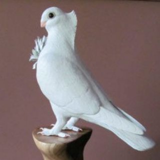 Telegram profile photo for 1966 trick Khan