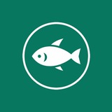 Telegram profile photo for ZN Fish