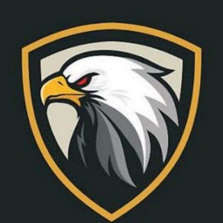 Telegram profile photo for Airdrop Network