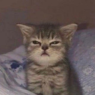 Telegram profile photo for Сміхотерапія