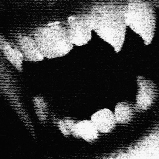 Telegram profile photo for David †