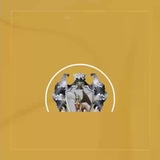Telegram profile photo for SPHINX OFFICIAL
