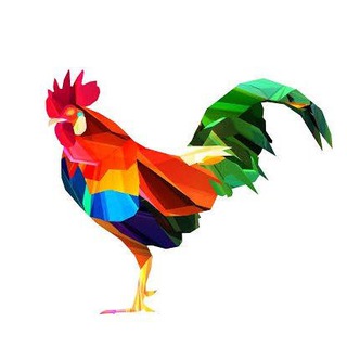 Telegram profile photo for Rooster's Risky Calls