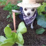 Telegram profile photo for нестабильная сота