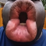 Telegram profile photo for $BBQ | Fire Up The Grill 🔥