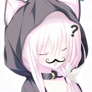 Telegram profile photo for kitty.claws