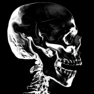 Telegram profile photo for Myrzaklv | Биохакинг 💊