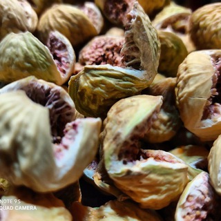 Telegram profile photo for انجیرستان
