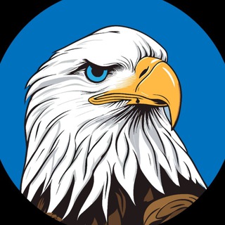 Telegram profile photo for Hawk‖SHIBkiller
