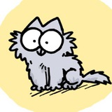 Telegram profile photo for Kitten Cat