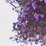 Telegram profile photo for "إطمئنان"