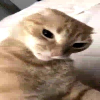 Telegram profile photo for ЗАВАРКА ЧАЙНАЯ 🧋