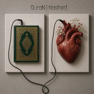 Telegram profile photo for QuraN | Nashed