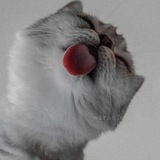 Telegram profile photo for Hazratqulov