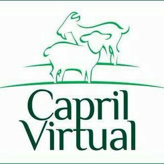 Telegram profile photo for Capril Virtual