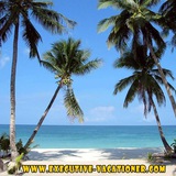 Telegram profile photo for Upmarket Vacationer