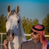 Telegram profile photo for قناة سلمان السلماني