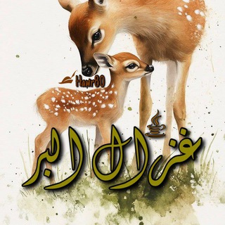 Telegram profile photo for ﮼ غَزالَ البّر 🐈⬛ 。˚ .