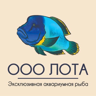 Telegram profile photo for ЛОТА морские рыбки