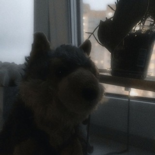Telegram profile photo for Балкончик Ника🍀 (16+🌱)
