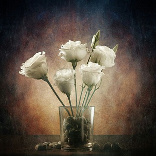 Telegram profile photo for جستجوگر