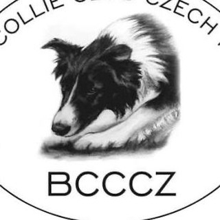 Telegram profile photo for BCCCZ