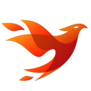 Telegram profile photo for FF1