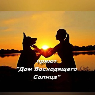 Telegram profile photo for Домашний Приют "Дом Восходящего Солнца"